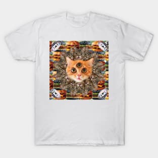 Mystical Cat Mandala T-Shirt